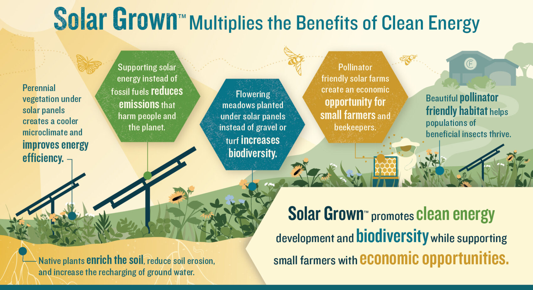 Benefits of Solar Grown